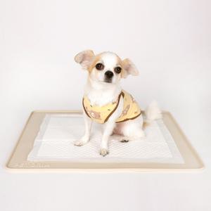 펫토리아 안밀려 논슬립 강아지 패드 미끄럼방지 배변판매트 기본형 실리콘 배변매트 표준형