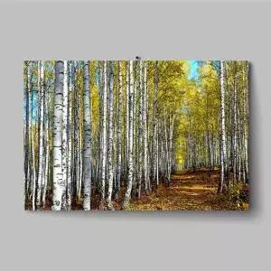북유럽 자작나무 숲 아크릴 액자 돈들어오는 그림