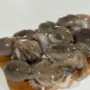 활어 급냉 쭈꾸미 1kg 암수랜덤 서해산 선동 급속 냉동 주꾸미