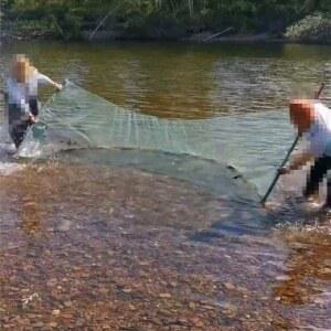 DTC 대형어망 족대 민물 물고기 낚시 계곡 뜰채