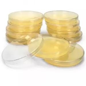 대장균배양배지 LB Agar Plate 90mm 1pcs SN (냉장보관)