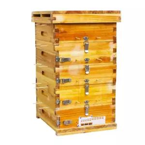 허니 박스 토종벌 자재 벌통 채집 나무 양봉 벌꿀집