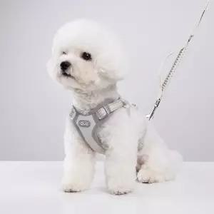 올지 세이프 하네스 리드줄 세트 충격흡수 슬개골 관절보호 소형견 중형견 강아지 애견 반려견 용