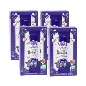 홀베리 블루베리 유기농 블루베리스틱 블루베리즙 스틱 14포 4개