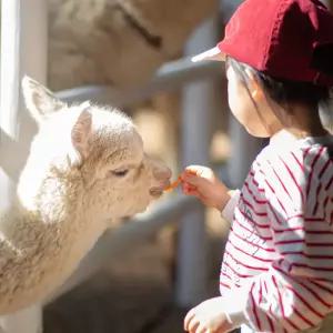 [동물간식체험] 대구 이월드 자유권+간식3종