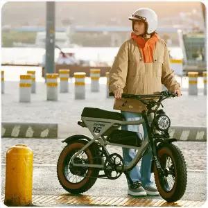 알톤 파이톤 16 500W 20Ah 전기 자전거 / 자토바이 모페드