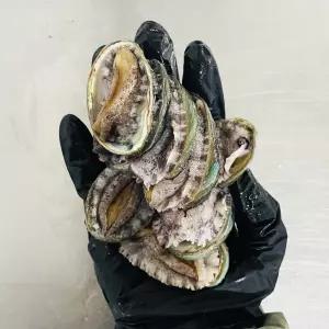 완도 급냉 꼬마 전복 1kg (40-60미내외)