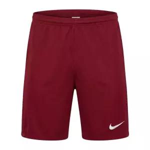 드라이 핏 파크 3 쇼트 NB 반바지 BV6855-677