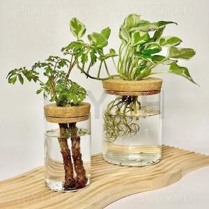식물 재배를위한 수경 유리 꽃병 홈 인테리어 데스크탑 장식 작은 꽃 냄비 정원 액세서리 식물을위한