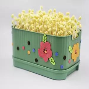 콩나물 재배기 사각시루 뚝딱 키우기 키트 원예 가드닝 실내 식물 홈가드닝용