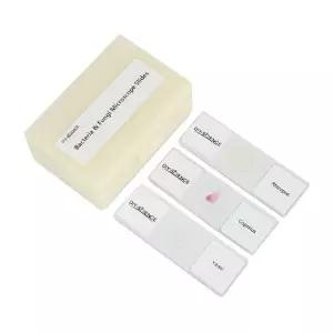 준비된 박테리아 및 곰팡이 현미경 슬라이드 세트 생물학 교사용 9pcs 미생물 과학 교육