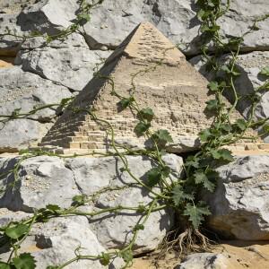 jviyFaKt 3개 세트 M2 M3 M4 M5 M6 M7-M16 스프링 볼 헤드 미니어처 정밀 비즈 스테인리스 스틸 터치 노 스