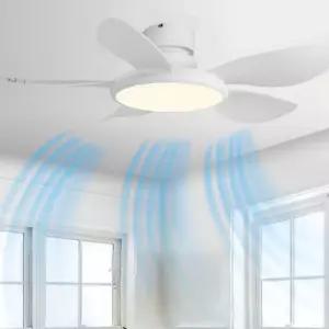 조명 선풍기 천장 실링팬 아엘루나 거실 42 지능형 108W