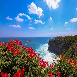 발리 5일 #코트야드 메리어트 #우붓스윙 #핵심관광 #1일자유 #마사지2시간 #특식