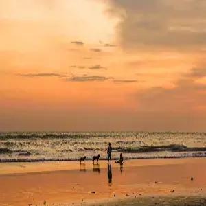 [제주출발][4명이상 출발가능][스마트 초이스] 발리 6일#실속급호텔 #짐바란베이비치리조트앤스파 or 동급 호텔 #핵심관광 #마사지1시간