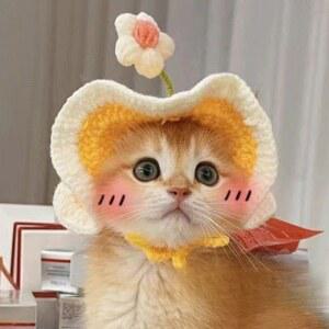 고양이 뜨개 모자 스카프 반려동물 대형견 옐로우 봄의 플라워 귀여운