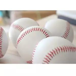 챔피언야구공 야구공 야구용품 소프트볼 스포츠 공 운동
