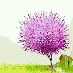 피포페인팅 Q468 행운의나무 시리즈 DIY명화그리기