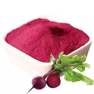 레드비트농축분말 100g 샘플