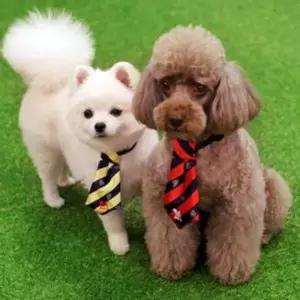 강아지 넥타이 스카프 애견 악세사리 보타이 M 넥타이 목도리