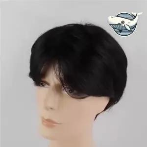 풍성한 생머리 남성용 스타일 가발 자연스러운 인조헤어 통가발 ENg8+7DJK