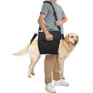 조절 가능한 팅 스트랩이 있는 Snqqmtt 대형견 부상견, 하네스, 트 반려견 부상용 지지대용 39-57파운드 및 캐리어, 슬링, 고령견 장애인 뒷다리 관절 재활견