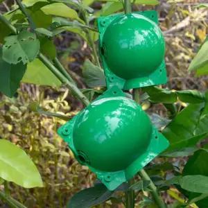 원예용 삽목볼 루팅볼 취목볼 식물 번식박스 공중뿌리 취목볼 식물번식볼