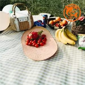 휴대용 방수 캠핑 매트 소풍용 접이식 돗자리 다용도 레저