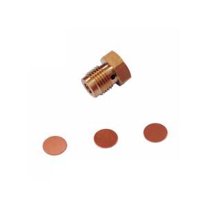 호환 TUXING 300Bar 30Mpa PCP 컴프레서 버스트 디스크 방폭 밸브 파열 고압 펌프 0.35mm