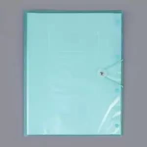 A3 클리어 화일 40매 그린 화일북 문서철 화일케이스