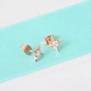 14K 골드필드 핀 데일리 별 귀걸이