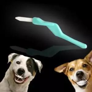 [반려] 애완동물 치아 관리 이쑤시개 브러쉬 고양이 개용 치약