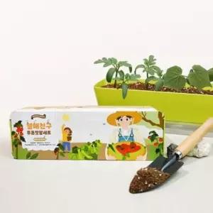 배양토 교과연계 사각화분 씨앗 텃밭 세트