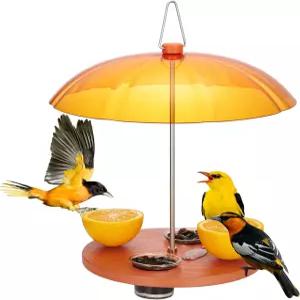 야외 행잉을 위한 킹야드 오리올 버드 피더 오렌지 하프를 페그가 있는 더블 컵 젤리 플랫폼 날씨 보호 돔