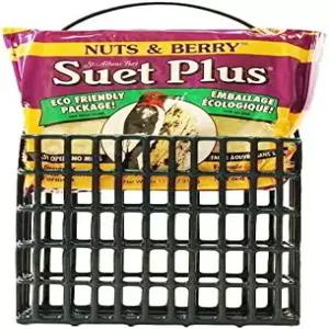야생동물 과학 스위트 피더 케이지 케이크 콤보 1개와 견과류 및 베리 11온스 포함