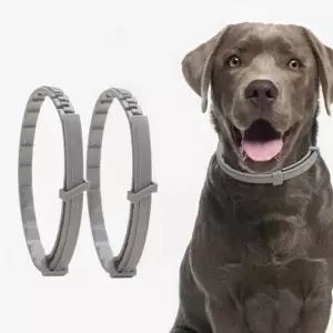 강아지 고양이 모기 벌레 제거 목걸이