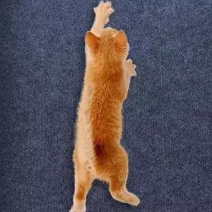 고양이 접착식 매트 카펫 스크래쳐 캣타워 코너벽타냥