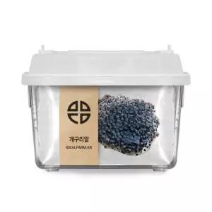 개구리 한살이 토종 알 관찰 키트