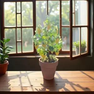 보석용 잎 구슬 450PCS 녹색 만들기 아크릴 부적 식물 귀걸이 목걸이 팔찌 DIY 공예품