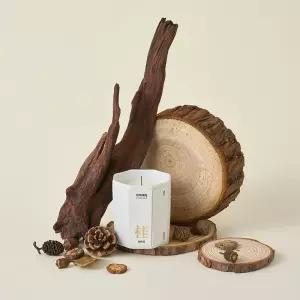 사진촬영소품 나이테 광고촬영 고스트우드 트레이 슬라이스 우드 삼나무원목01 나무