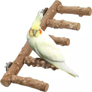 앵무새 잉꼬 농어 자연 조류 버기 농어를 위한 IBWell 새 사다리