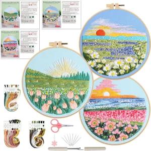 오콜 3종 세트 자수 키트 초보자를 위한 크로스 스티치 조경 꽃무늬 손 공예품이 있는 바늘 포인트 후프