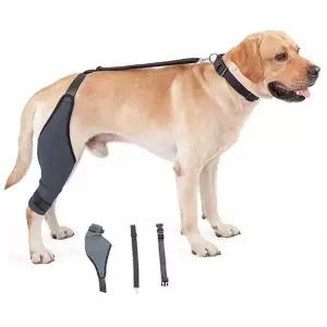 강아지 무릎 보호대 네오프렌 재활 반려견 강아지 관절 보호대 지지 강아지산책 외출 산책