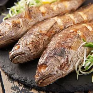 영광법성포 보리 굴비 특대 5미 참굴비 반건조 생선 보리굴비 영광보리굴비보리굴비