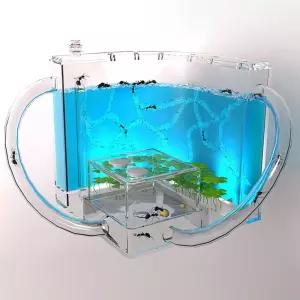 LED 개미집 여왕 개미 키우기 사육장 하우스 만들기 개미키우기 개미집키우기 개미관찰 곤충키우기