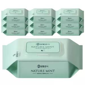 알뜰공식 네이처 민트 물티슈 캡형 100매 10개 대용량물티슈 아기물티슈 엠보싱물티슈 50gsm