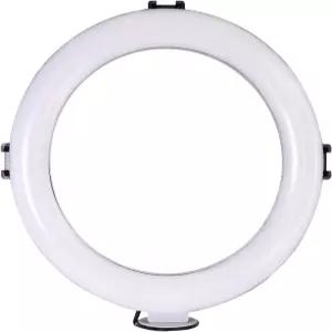 미니 삼각대와 볼 헤드가 있는 Vidpro RL-8 8인치 LED 링 라이트 키트. 초상화 메이크업 모델링 브이로거