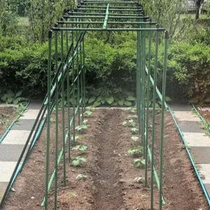 수박 지지대 토마토 단호박 파이프 덩쿨 지주대 오이 A