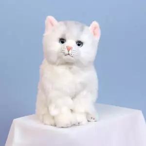 위더펫 리얼 고양이 인형 페르시안 친칠라 화이트