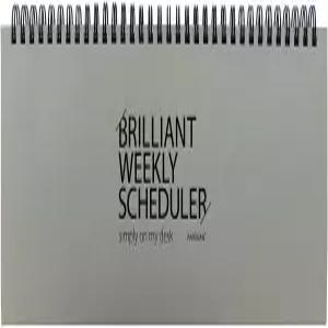 PAPERIAN 브릴리언트 주간 스케줄러 - 와이어바운드 언데이트 플래너 패드 (그레이)